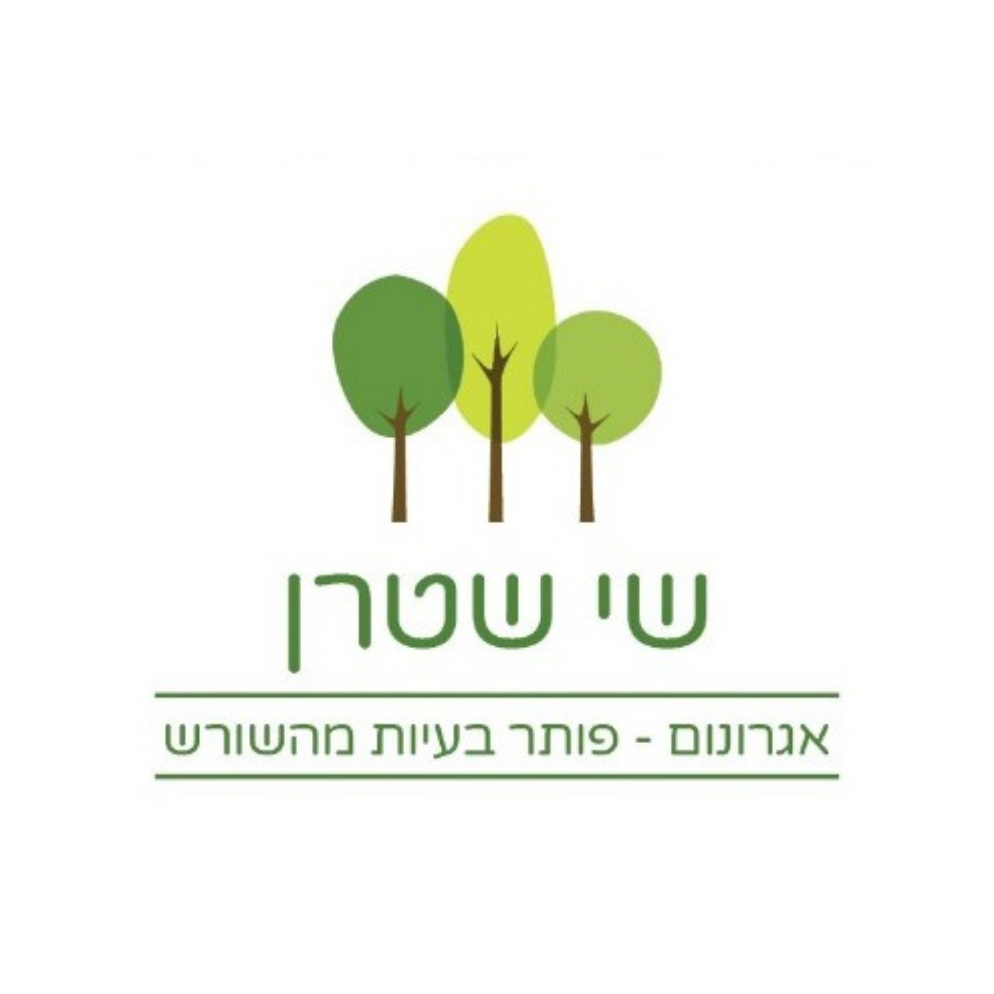 שי שטרן - יועץ