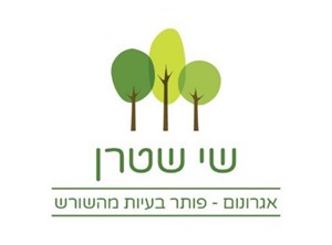 שי שטרן - יועץ