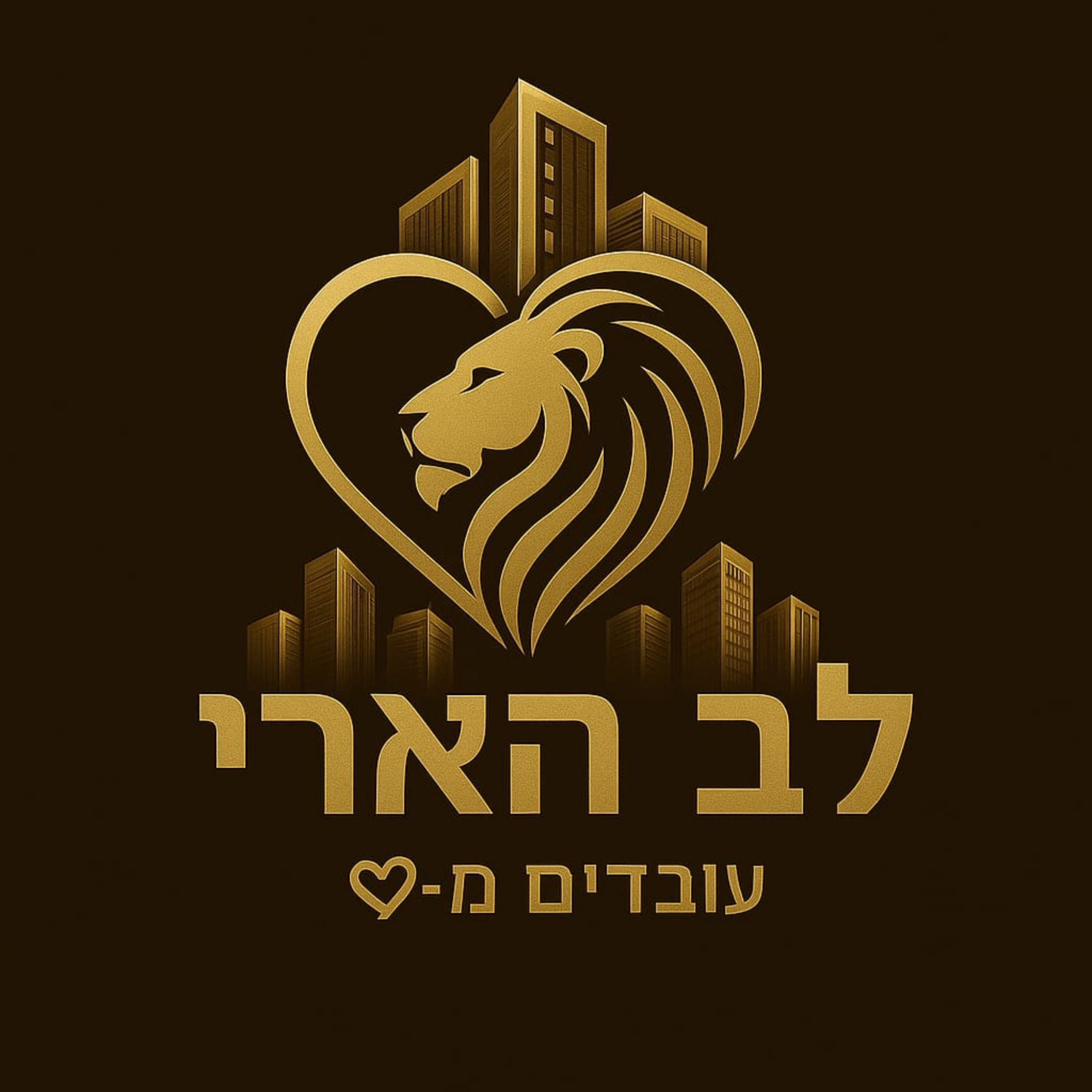 אמיר אסולין - קבלנים