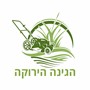 נתנאל כלסי