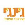 שי פרנקל