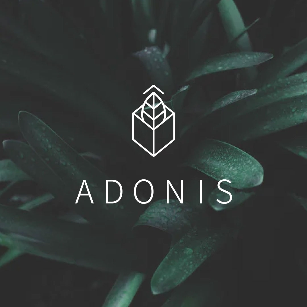 ADONIS מור ימין - ספק