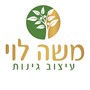 משה לוי