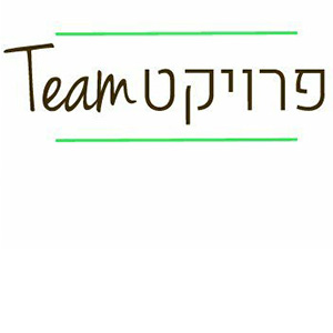 פרויקט Team - עבודות עץ