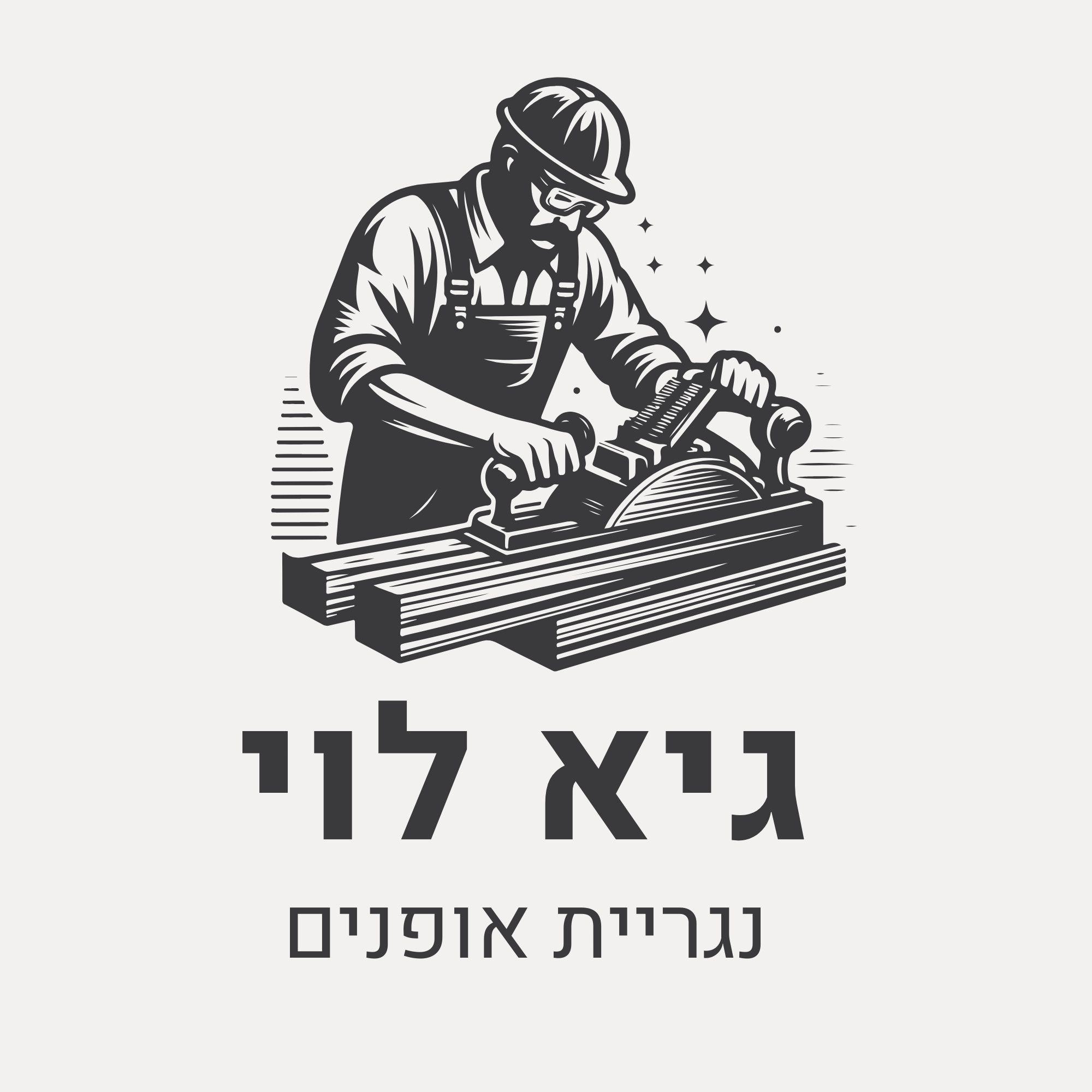 גיא לוי - ספק