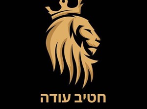 עודה חטיב - מעצב פנים