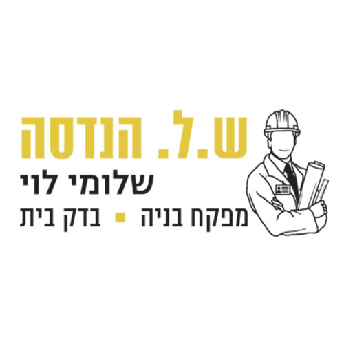 שלומי לוי