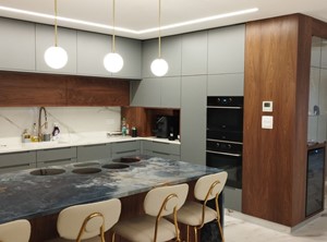 פרוייקטים מגוונים