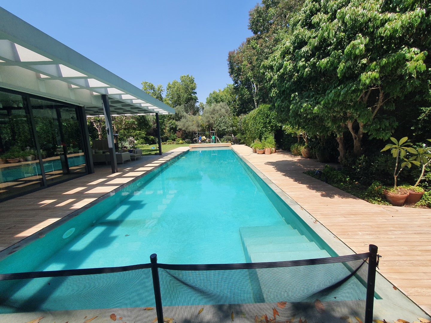 חידוש דק טיק