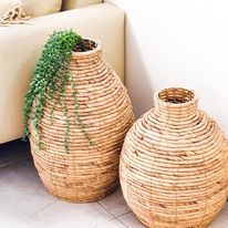 פרוייקטים מגוונים