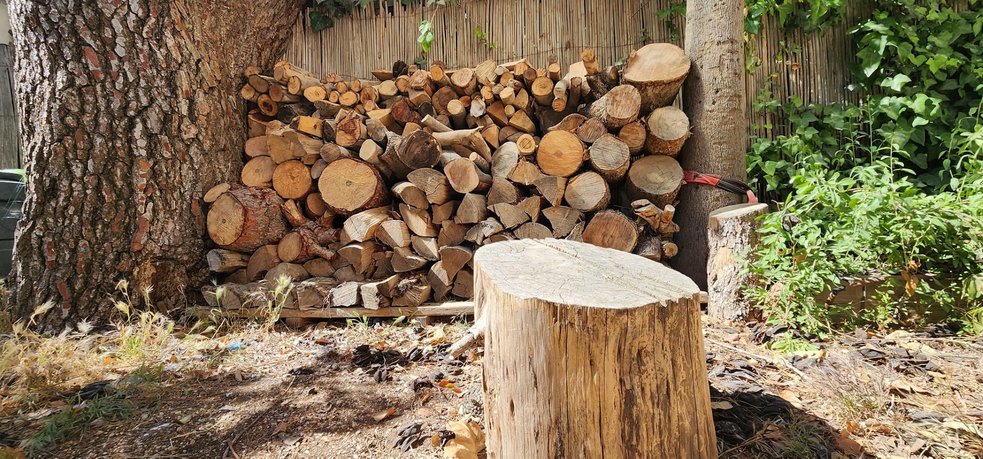 פרוייקטים מגוונים