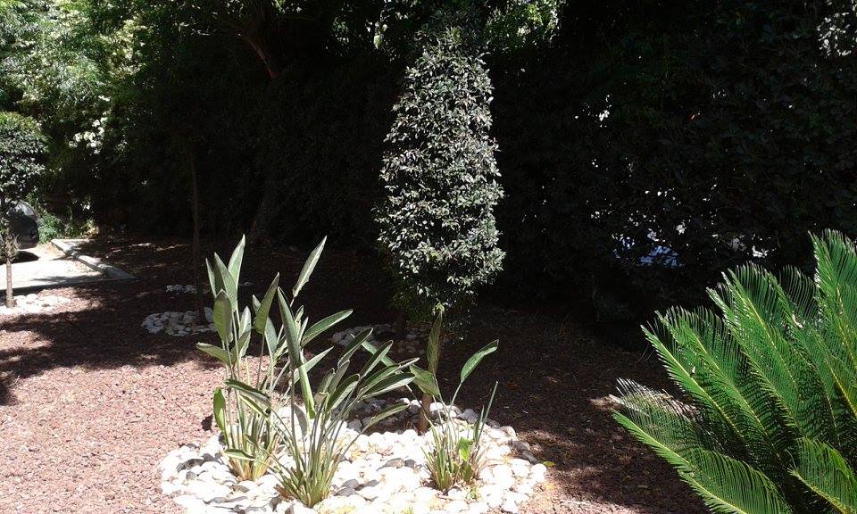 פרוייקטים מגוונים