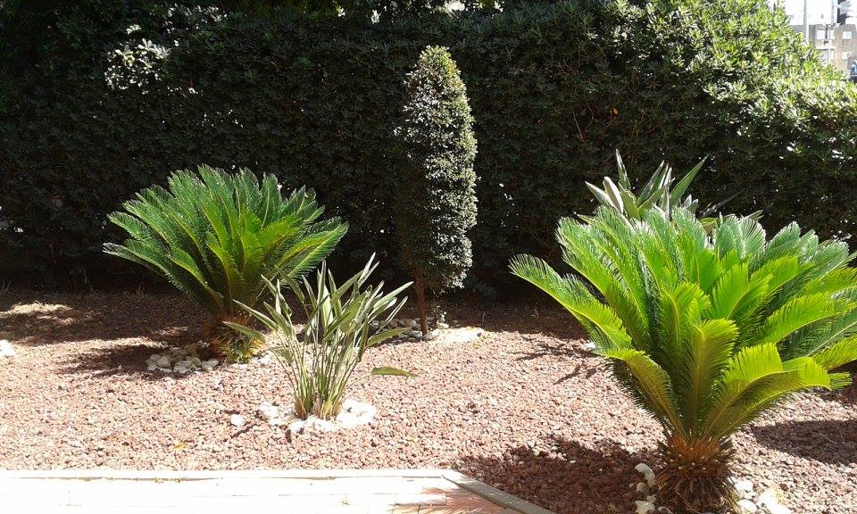 פרוייקטים מגוונים