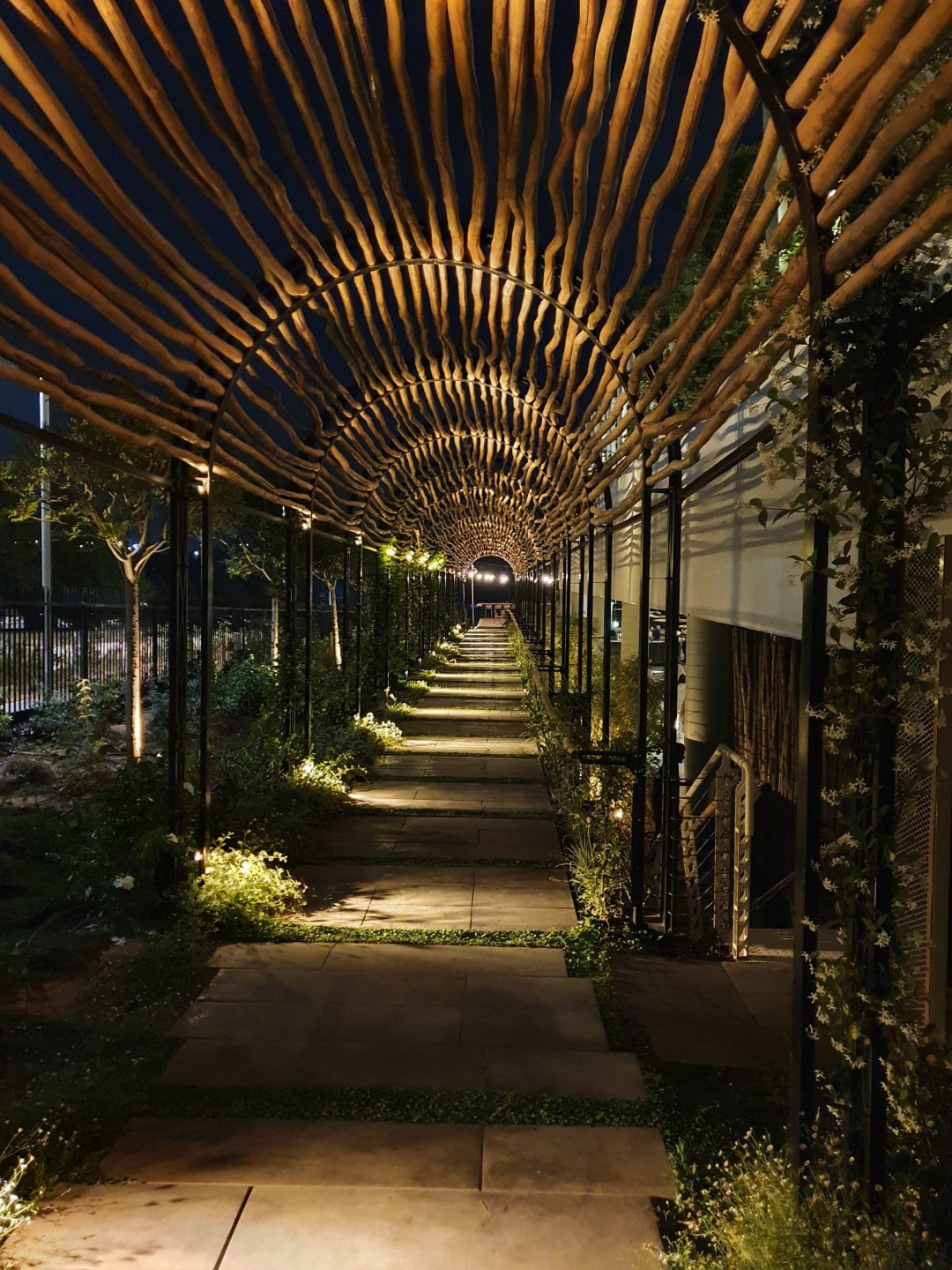 פרוייקטים מגוונים