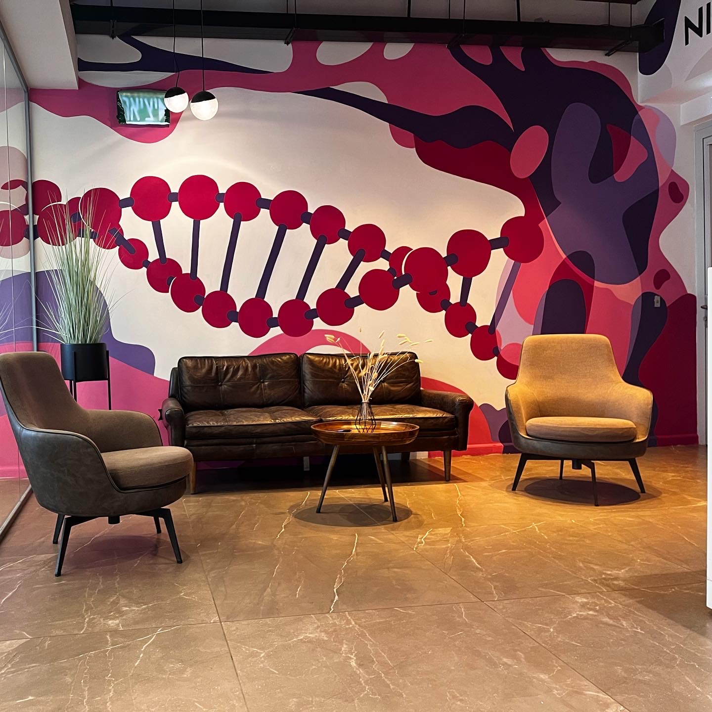 ציורי קיר פנימיים