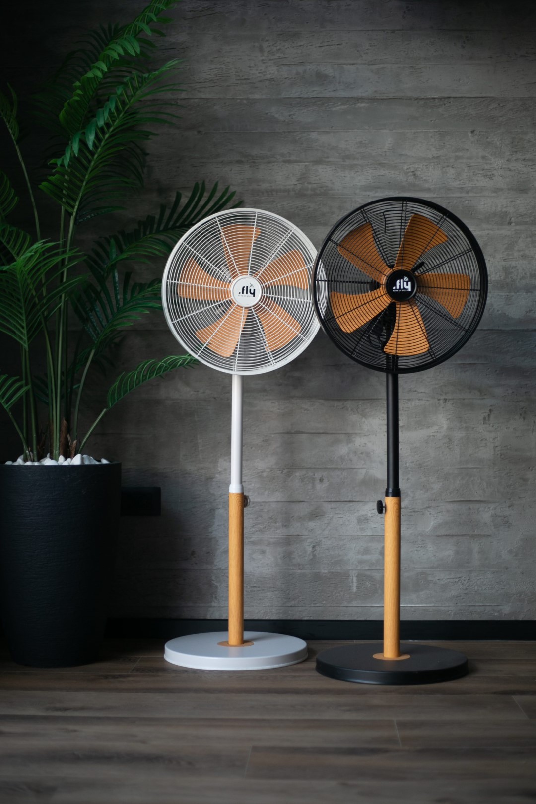 פרויקטים מגוונים