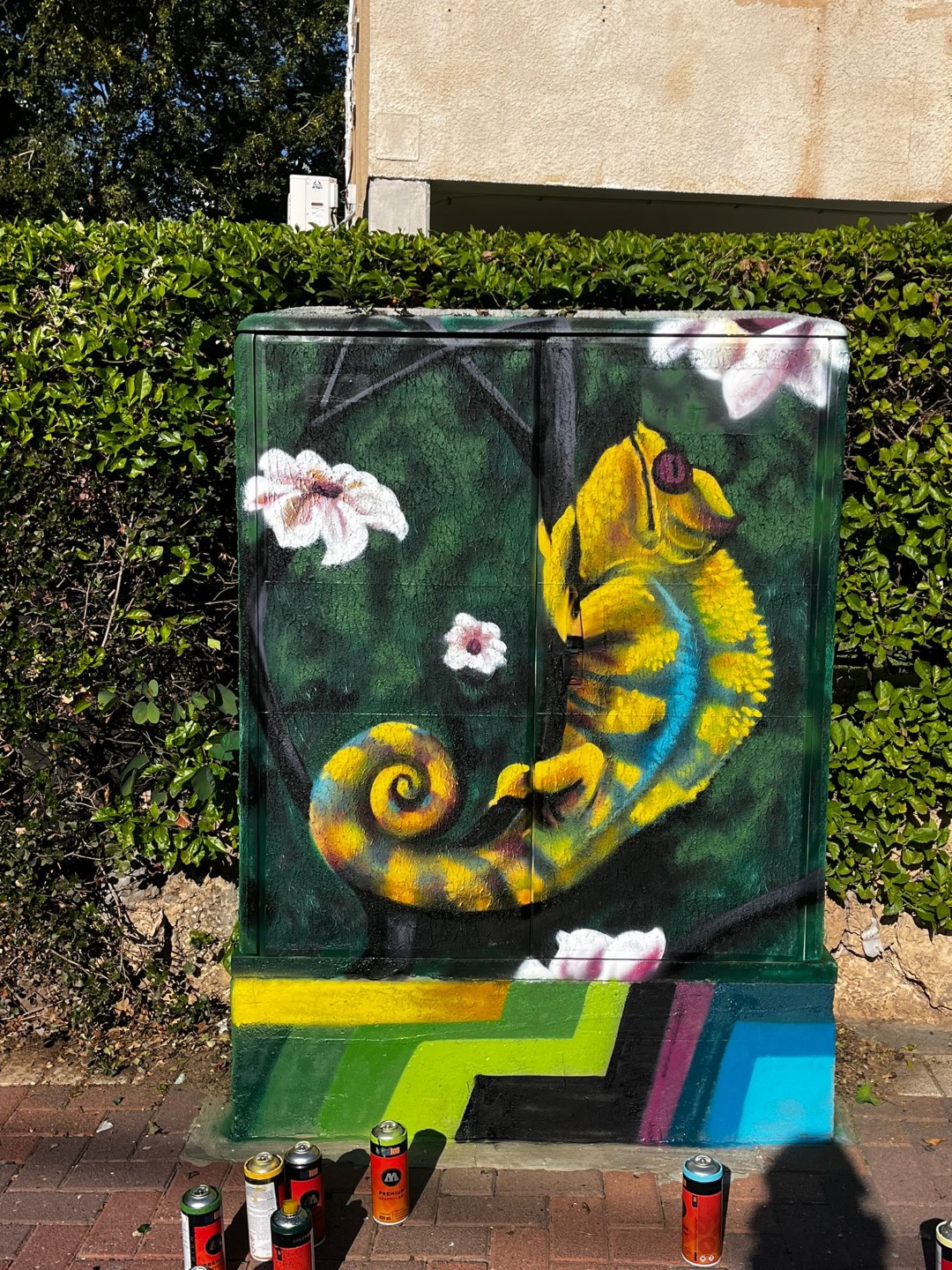 ארונות תקשורת מצויירים