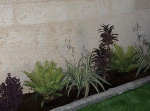 פרויקט חדש