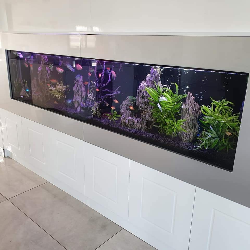 פרוייקטים מגוונים