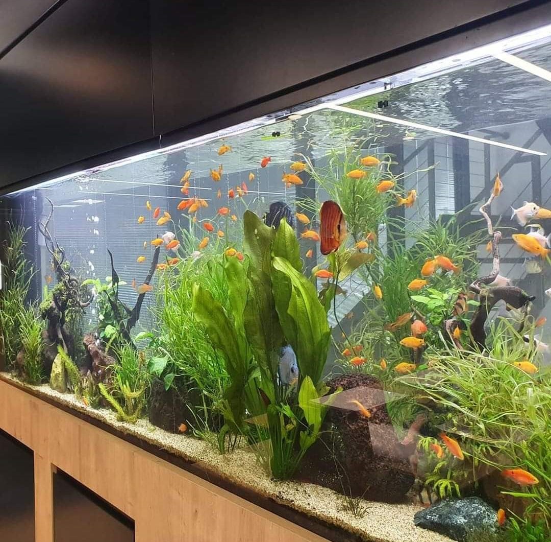 פרוייקטים מגוונים