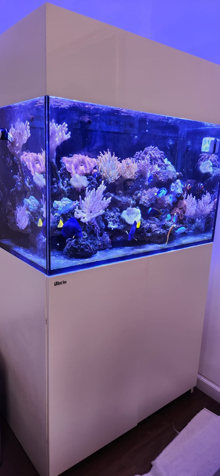 פרוייקטים מגוונים