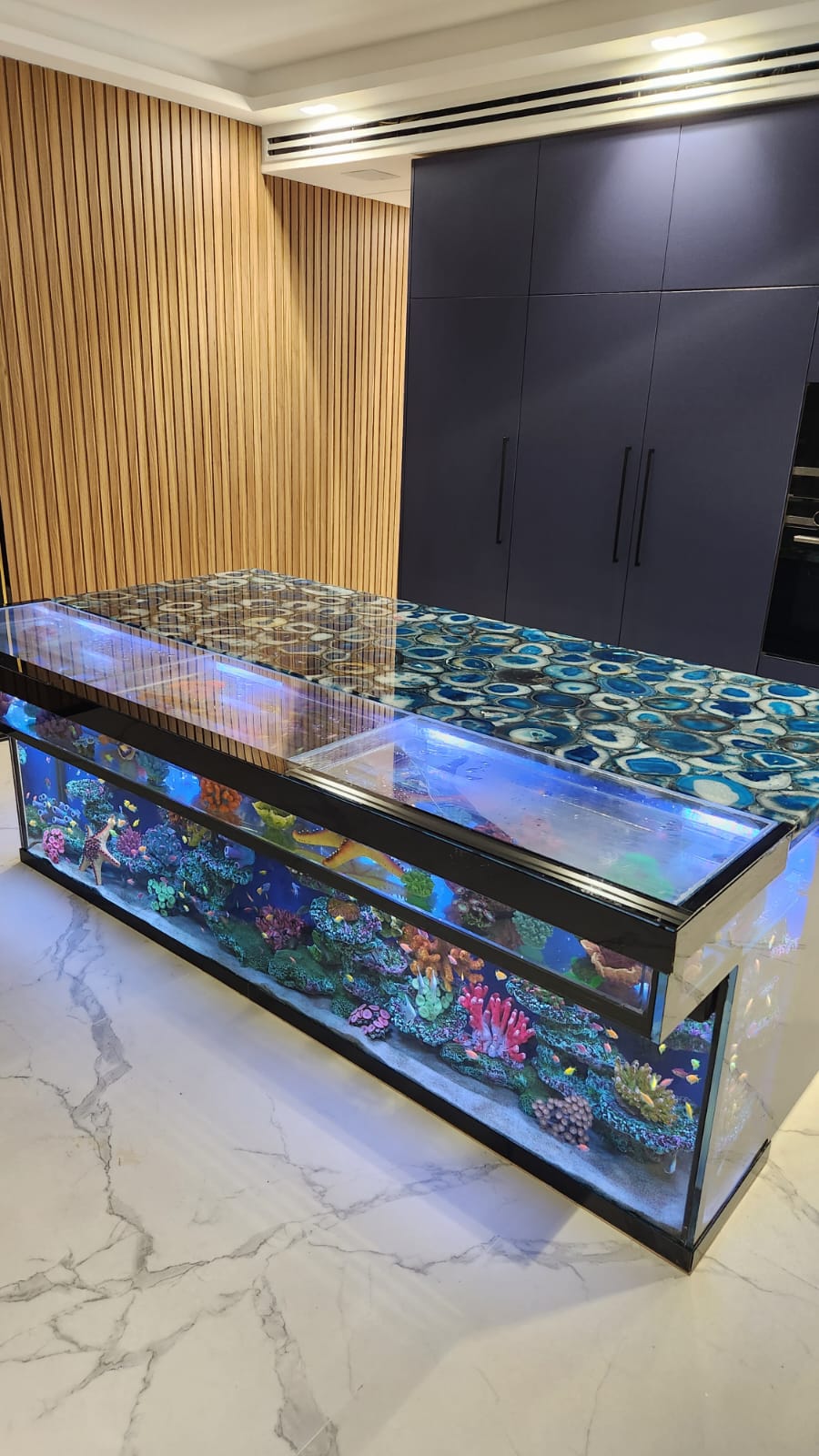 פרוייקטים מגוונים