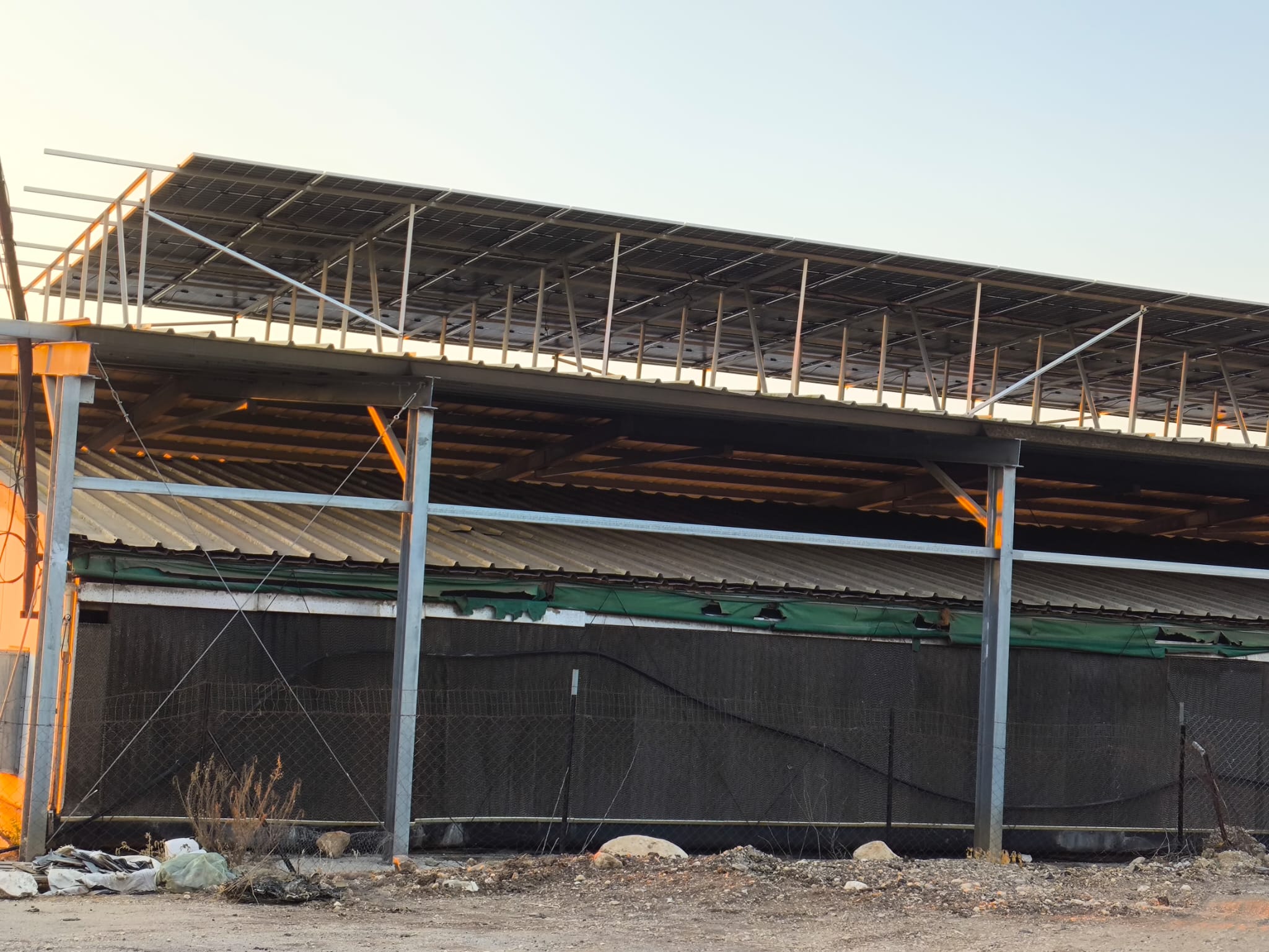 פרוייקטים מגוונים