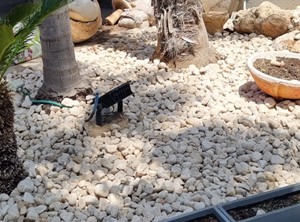 חיפוי חלוקי נחל וטוף ושתילות עם סידור שטח מאפס