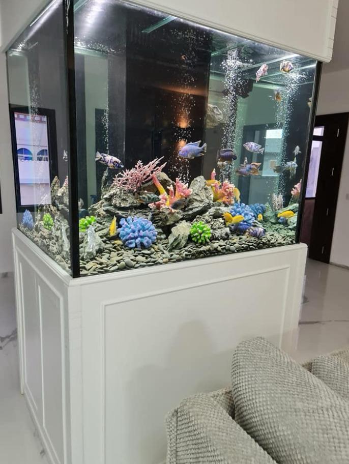 פרוייקטים מגוונים