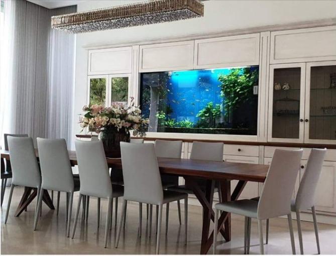 פרוייקטים מגוונים