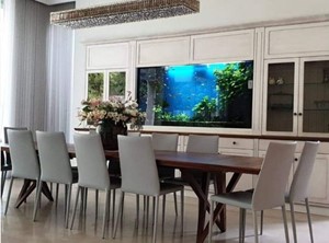 פרוייקטים מגוונים