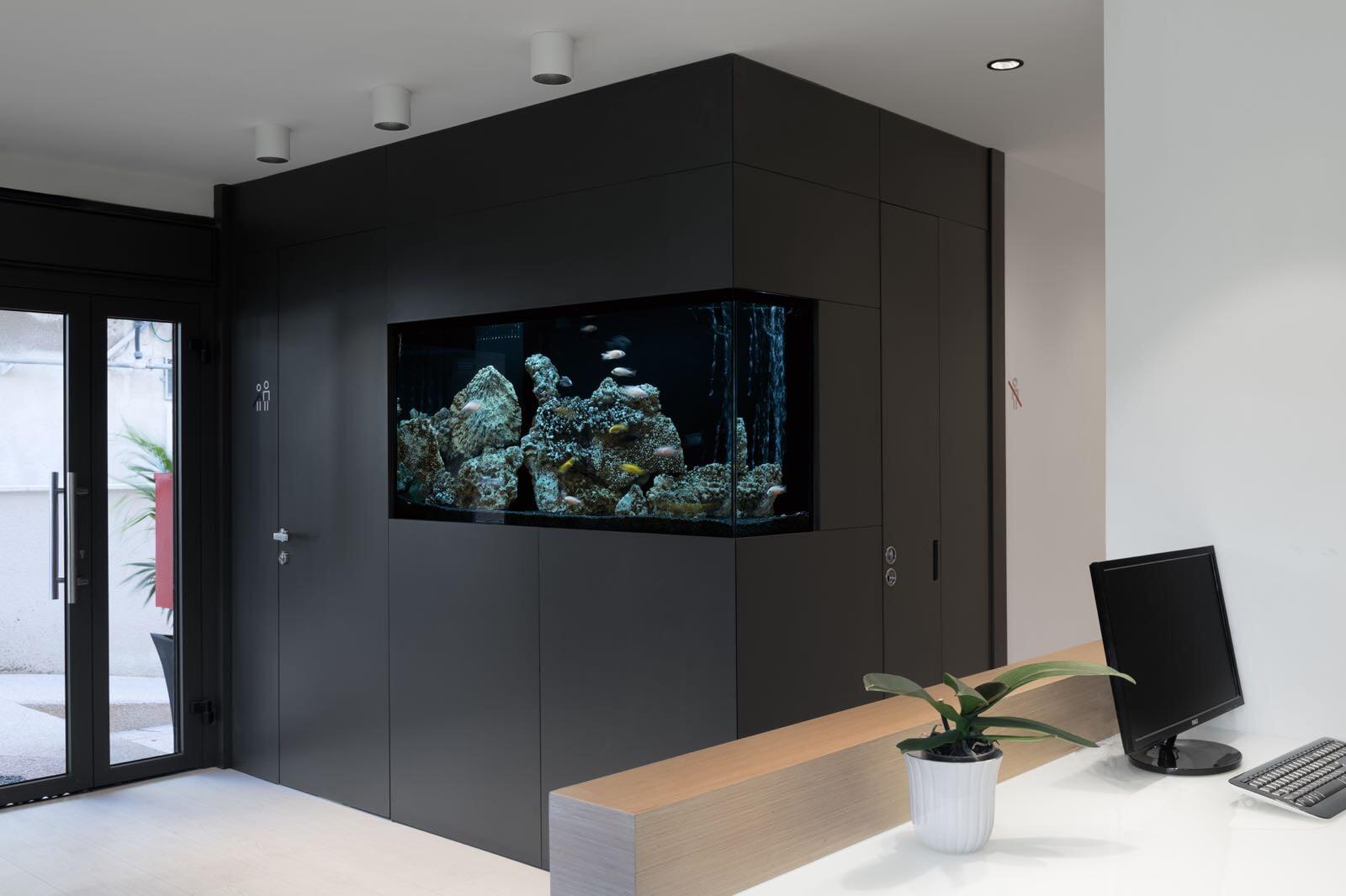 פרוייקטים מגוונים