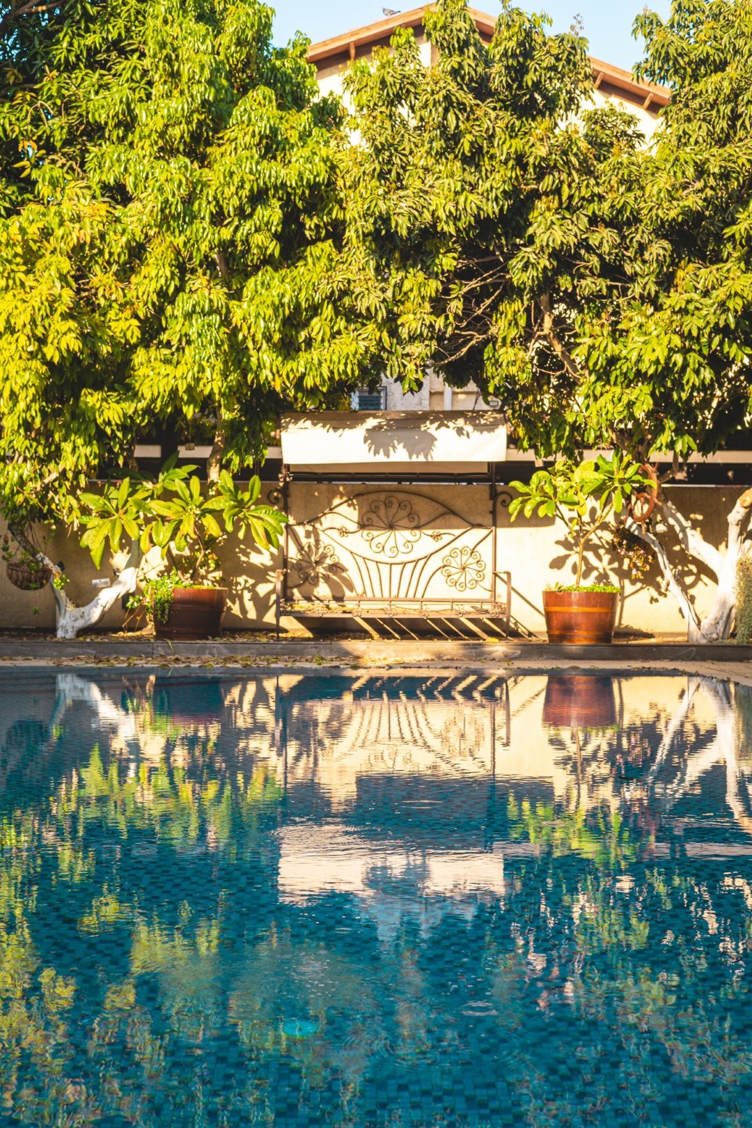 פרוייקטים מגוונים