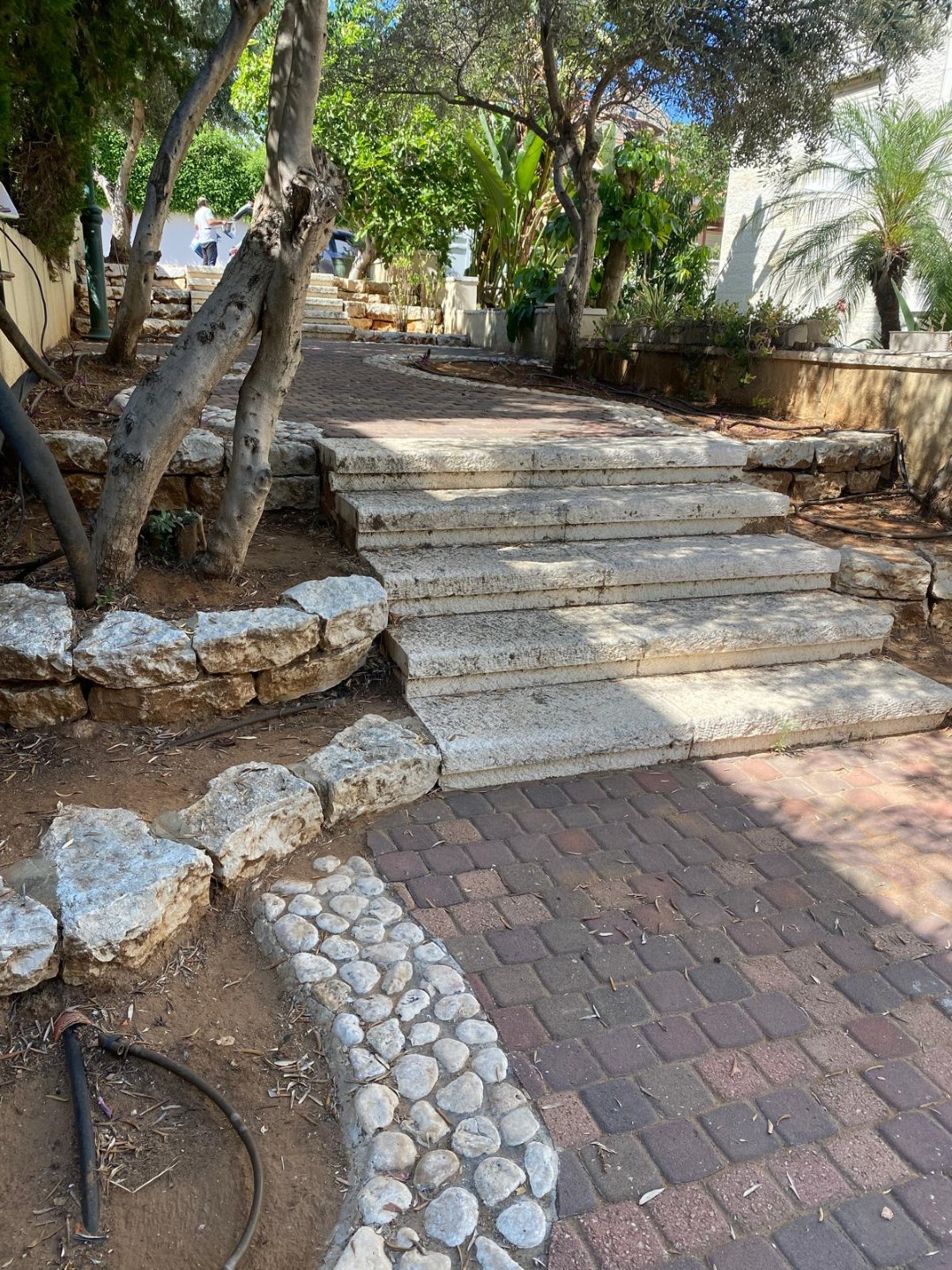 חשמונאים ניקיון גיזם ותחזוקה