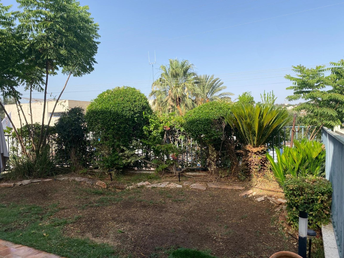 ‏חשמונאים בית פרטי גיזום ניקיון וניקו עשב