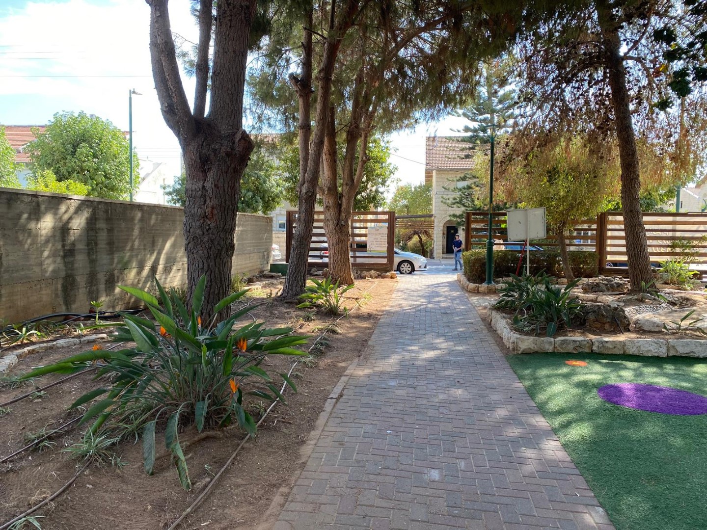 ישוב חשמונאים גיזום ונקיון יסודי