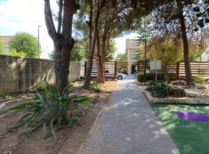ישוב חשמונאים גיזום ונקיון יסודי
