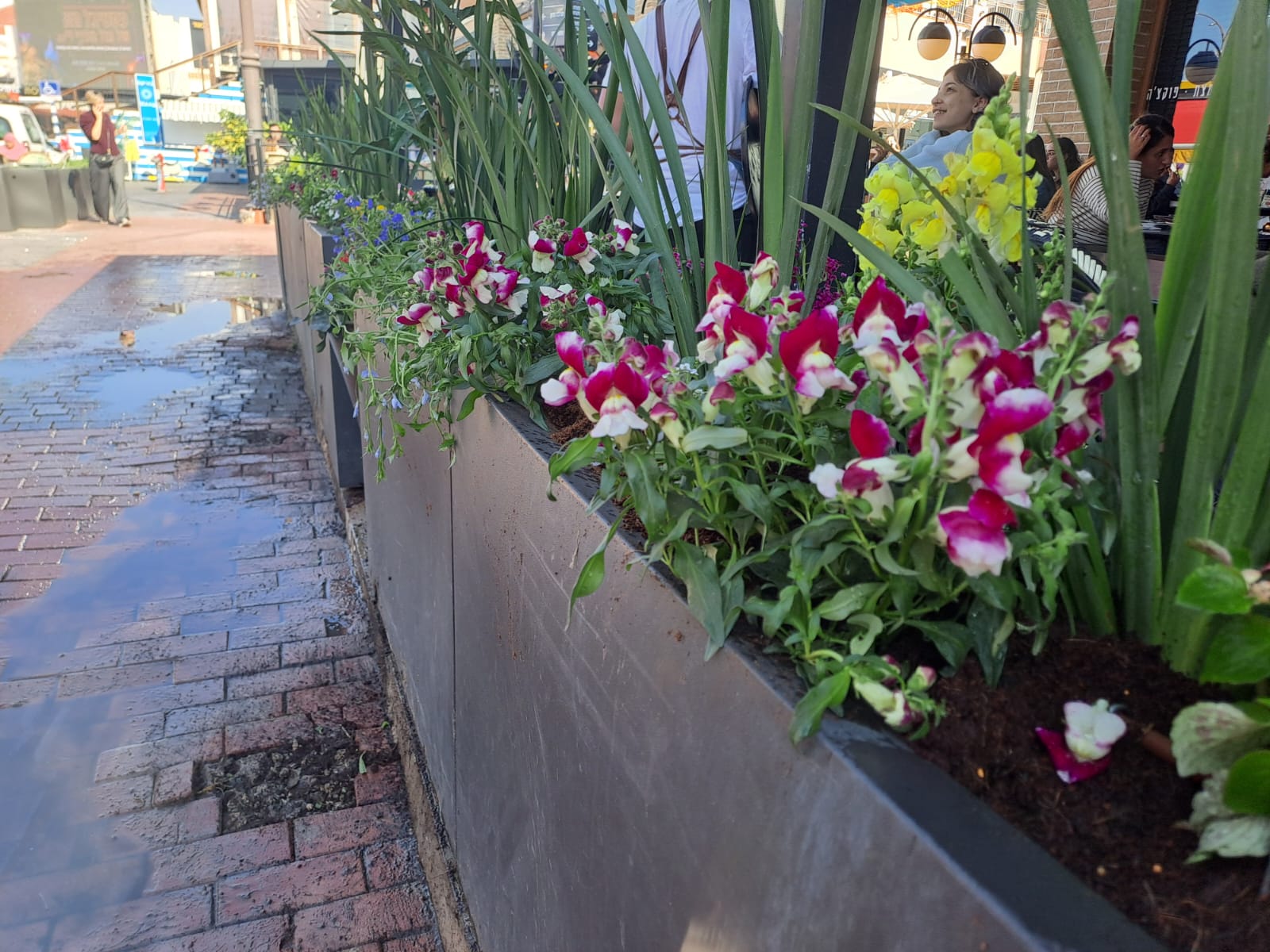 מתחם מול החוף חדרה מסעדה ביגה