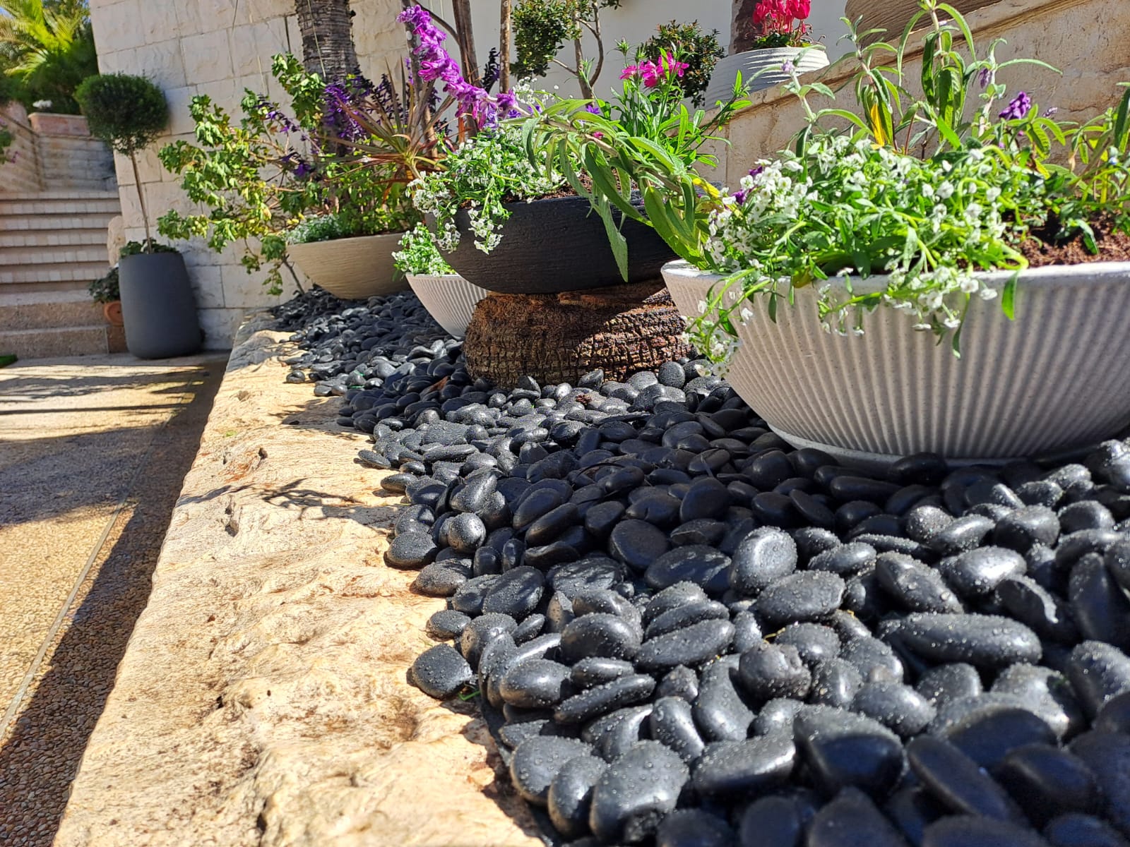 שיקום גינה למשפחת לאון בחדרה