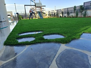 הקמת גינה למשפחת יקרה בבני ביתך בחדרה