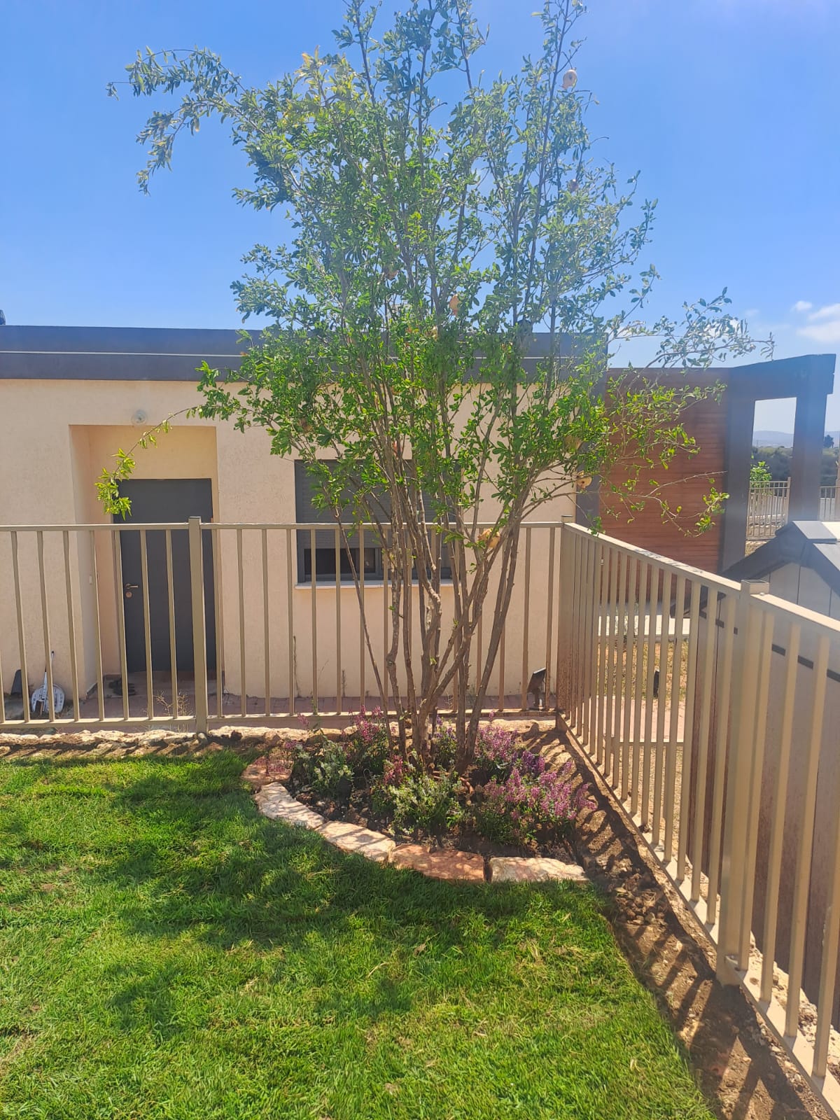 הקמת גינה טבעית למשפחה ברנדיס בשקד