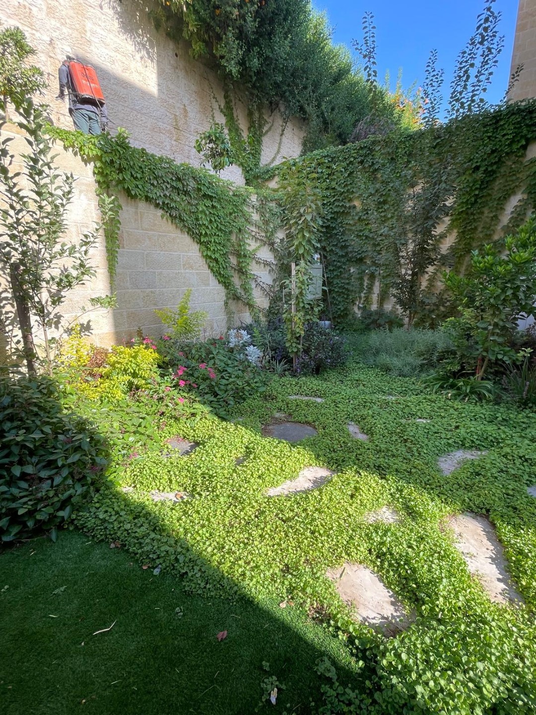 פרוייקט הקמת גינה מ-0 בשכונת ניות בירושלים