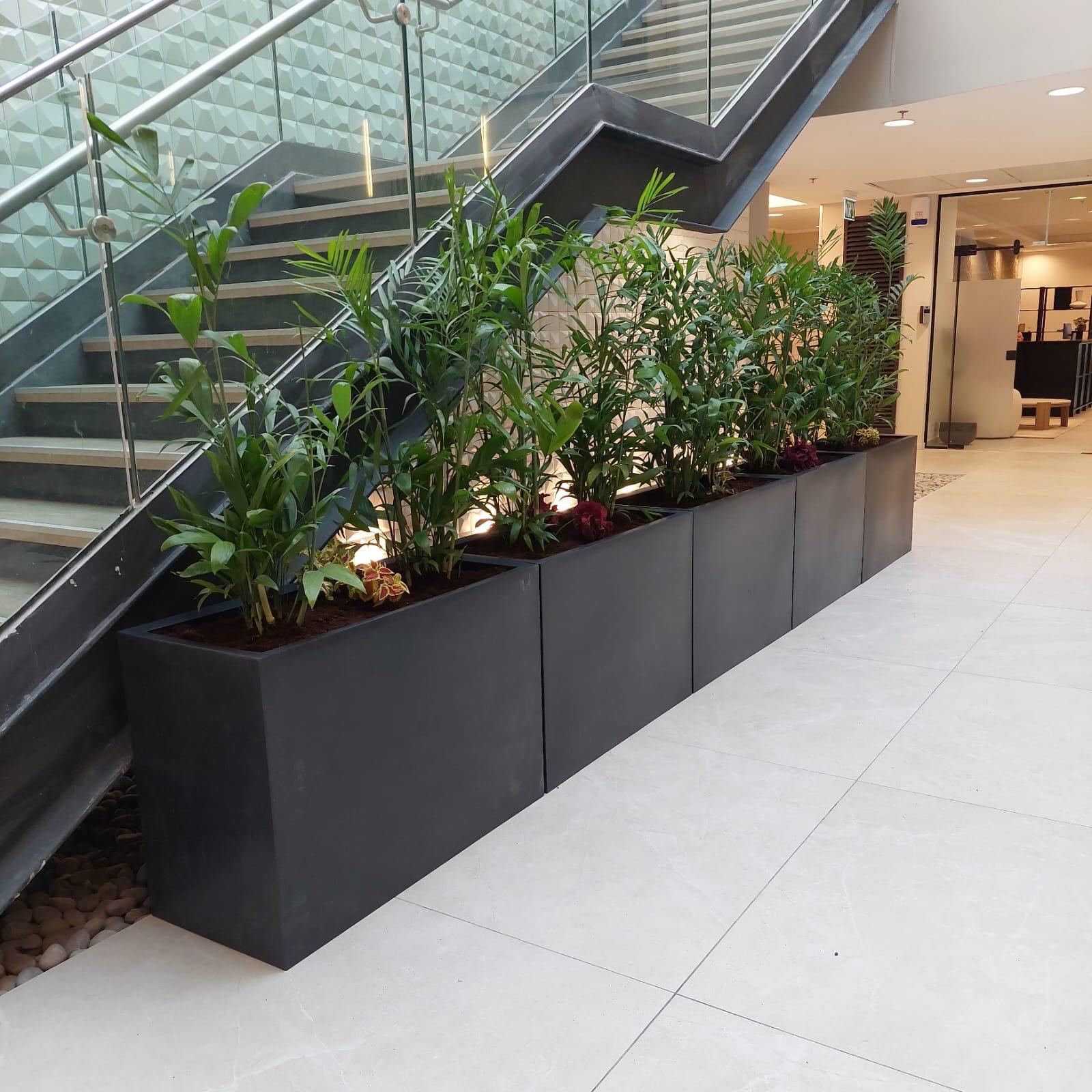 פרוייקט גינון בלובי בניין עסקים בירושלים