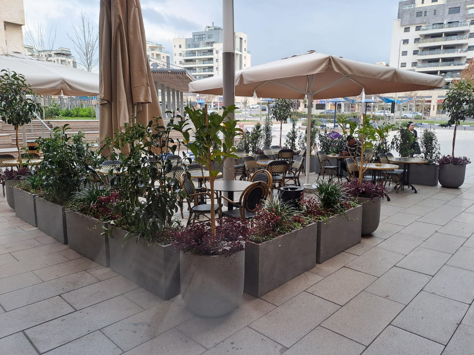 הקמת סניף רולדין חריש