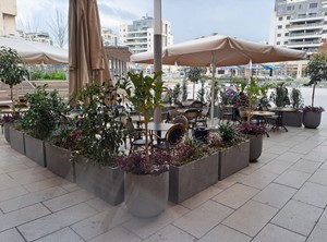 הקמת סניף רולדין חריש