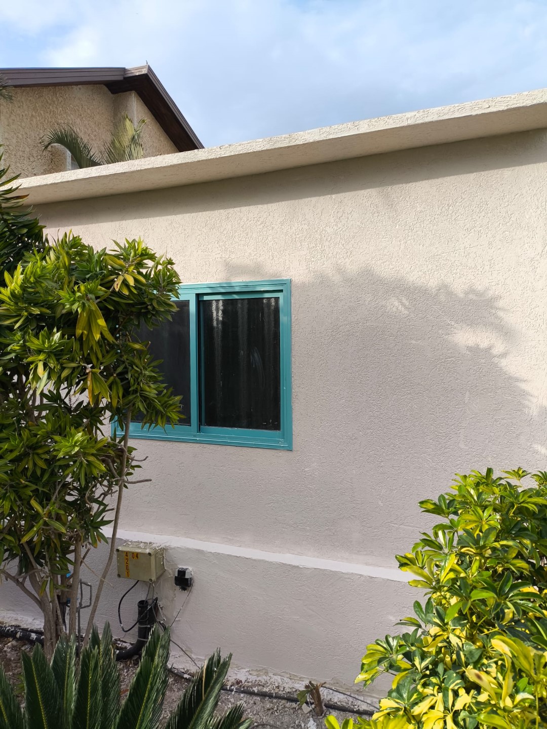 פרויקטים מגוונים