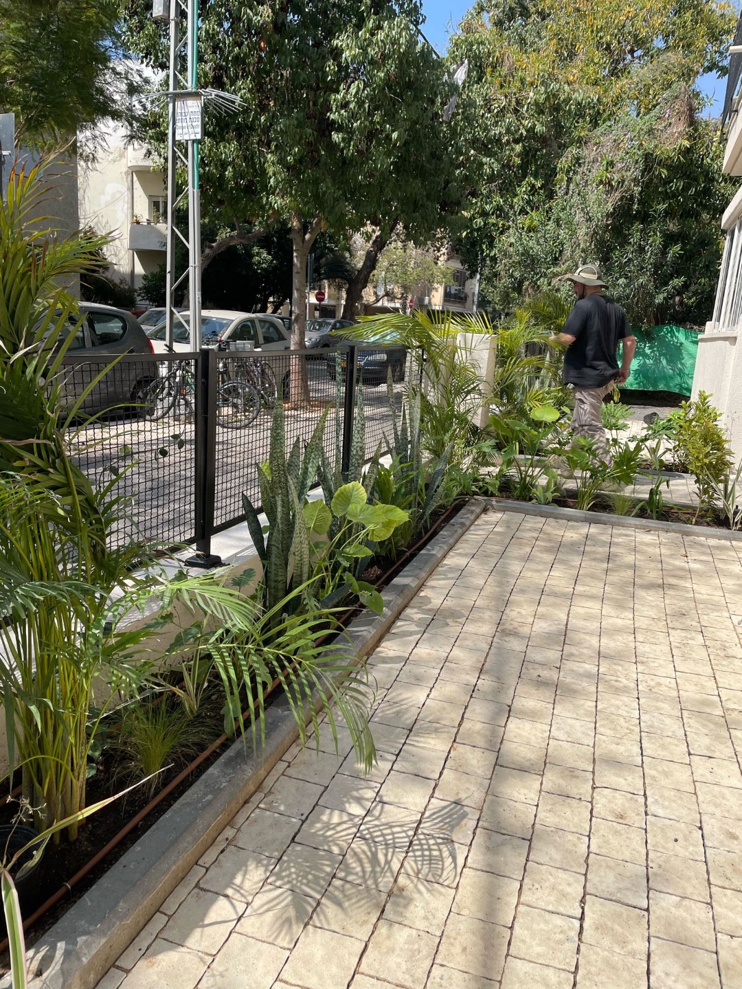פרויקט כניסה לבניין בתל אביב 