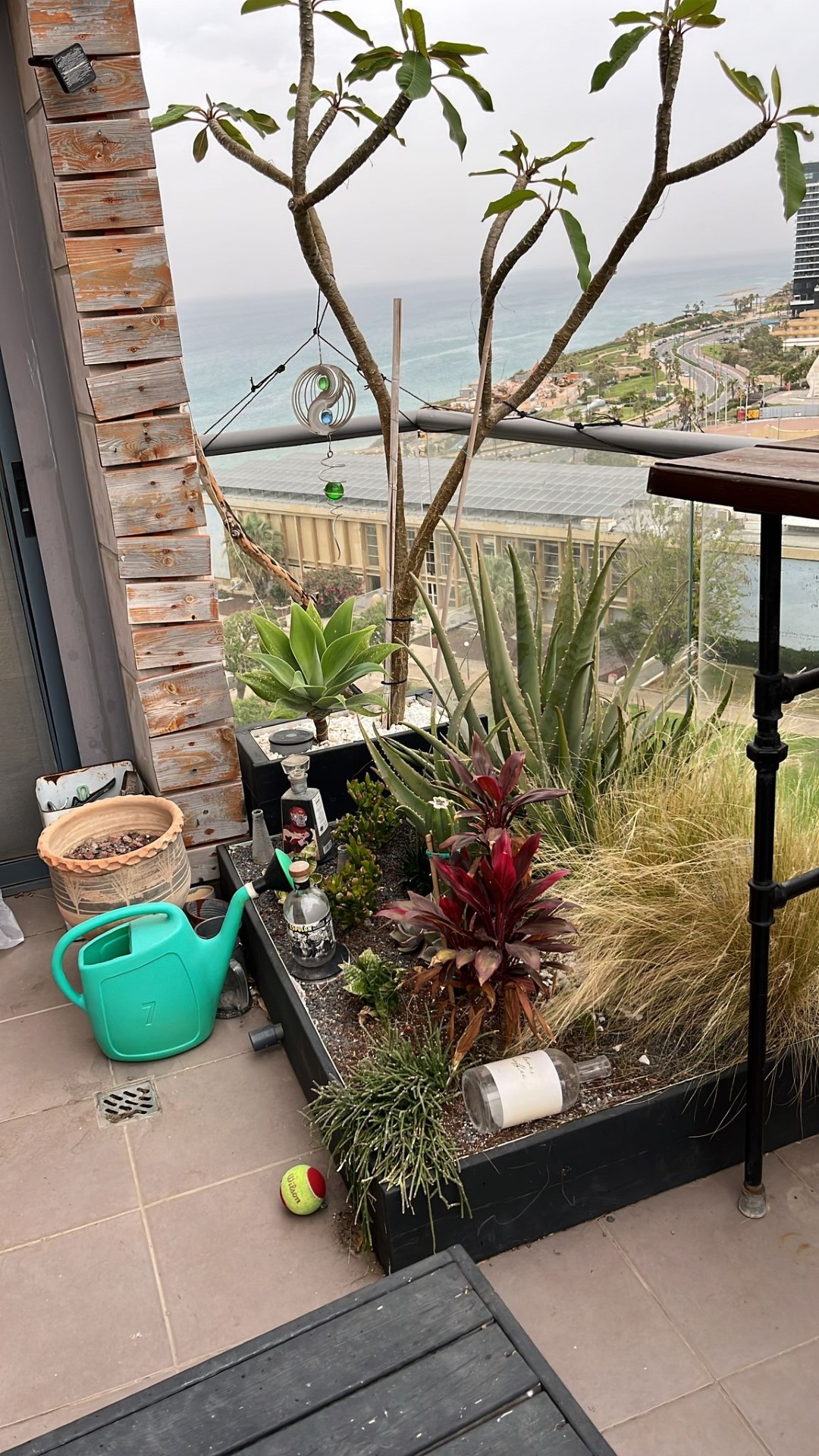 פרויקטים מגוונים