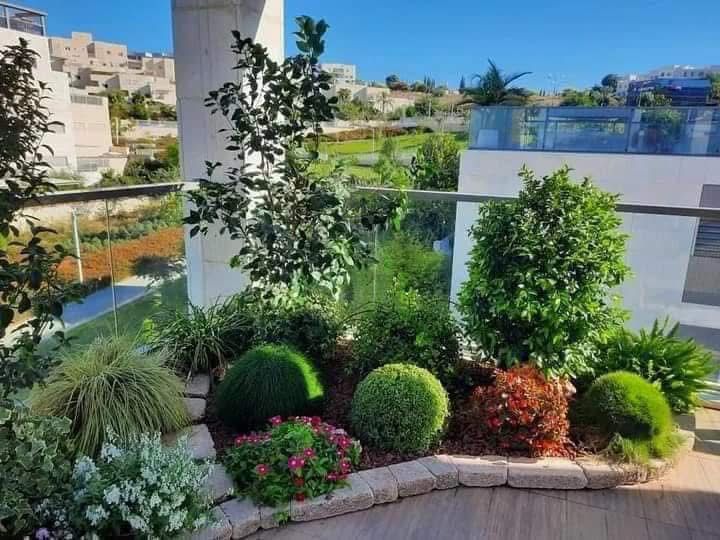 פרויקטים מגוונים