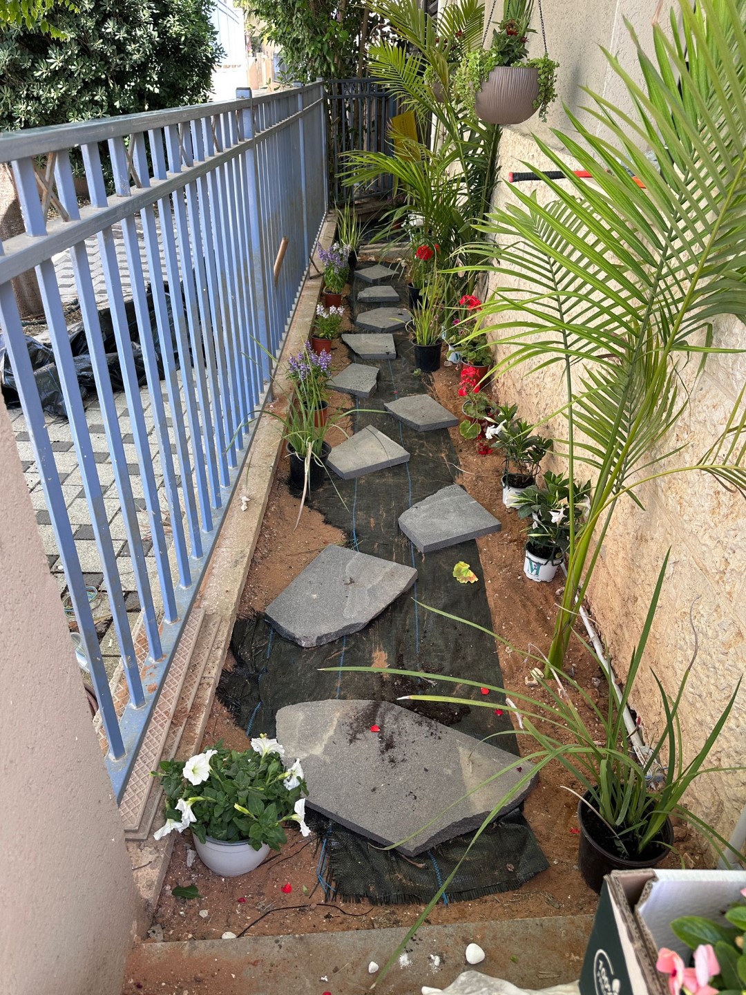 שער הגיא יקנעם